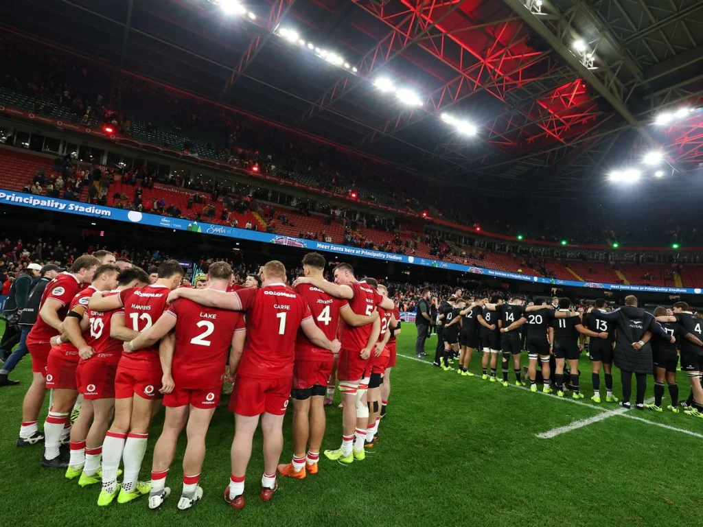 Les moments forts du match rugby Wales vs Nouvelle-Zélande au Principality Stadium