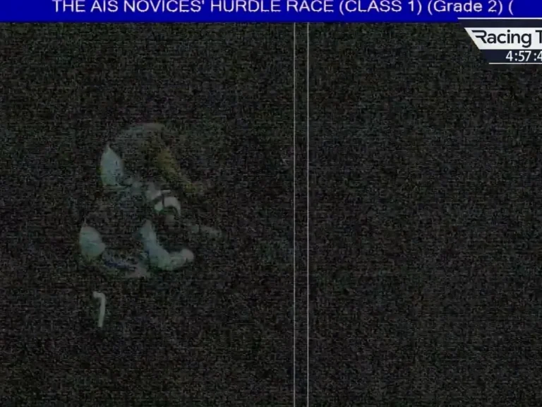 Déroulement chaotique à Cheltenham : course retardée et incident sur la piste