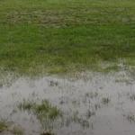 Inspections de terrain en Irish League face aux fortes pluies
