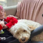 Wigan Warriors honore Holly Prince avec un maillot solidaire