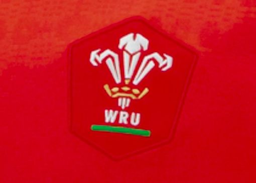 Vue d’ensemble du match Angleterre-Pays de Galles