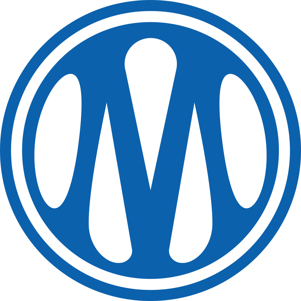 Olympique de Marseille en finales européennes