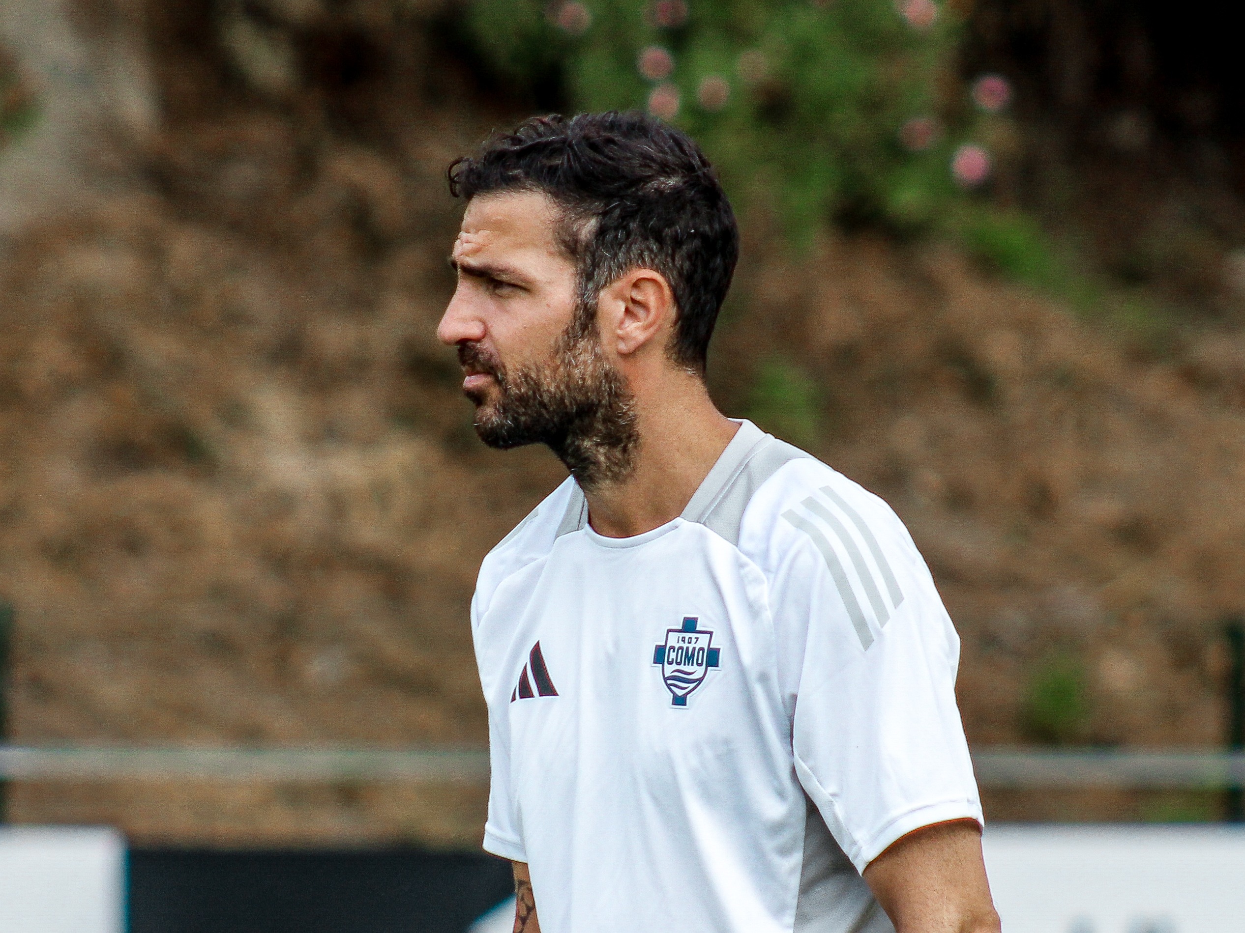 Cesc Fàbregas — club ou sélection actuelle : Como